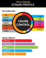 3CHI | True Strain THC Vape Pod - Cruise Control | Hybrid - 2g Disposable Vape Pod - Image 3
