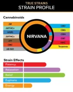 3CHI | True Strains Nirvana THC Vape | Indica - 3g Disposable Vape - Image 2