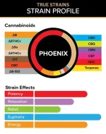 3CHI | True Strain THC Vape Pod - Phoenix | Sativa - 2g Disposable Vape Pod - Image 3