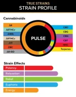 3CHI | True Strain THC Vape Pod - Pulse | Indica - 2g Disposable Vape Pod - Image 3