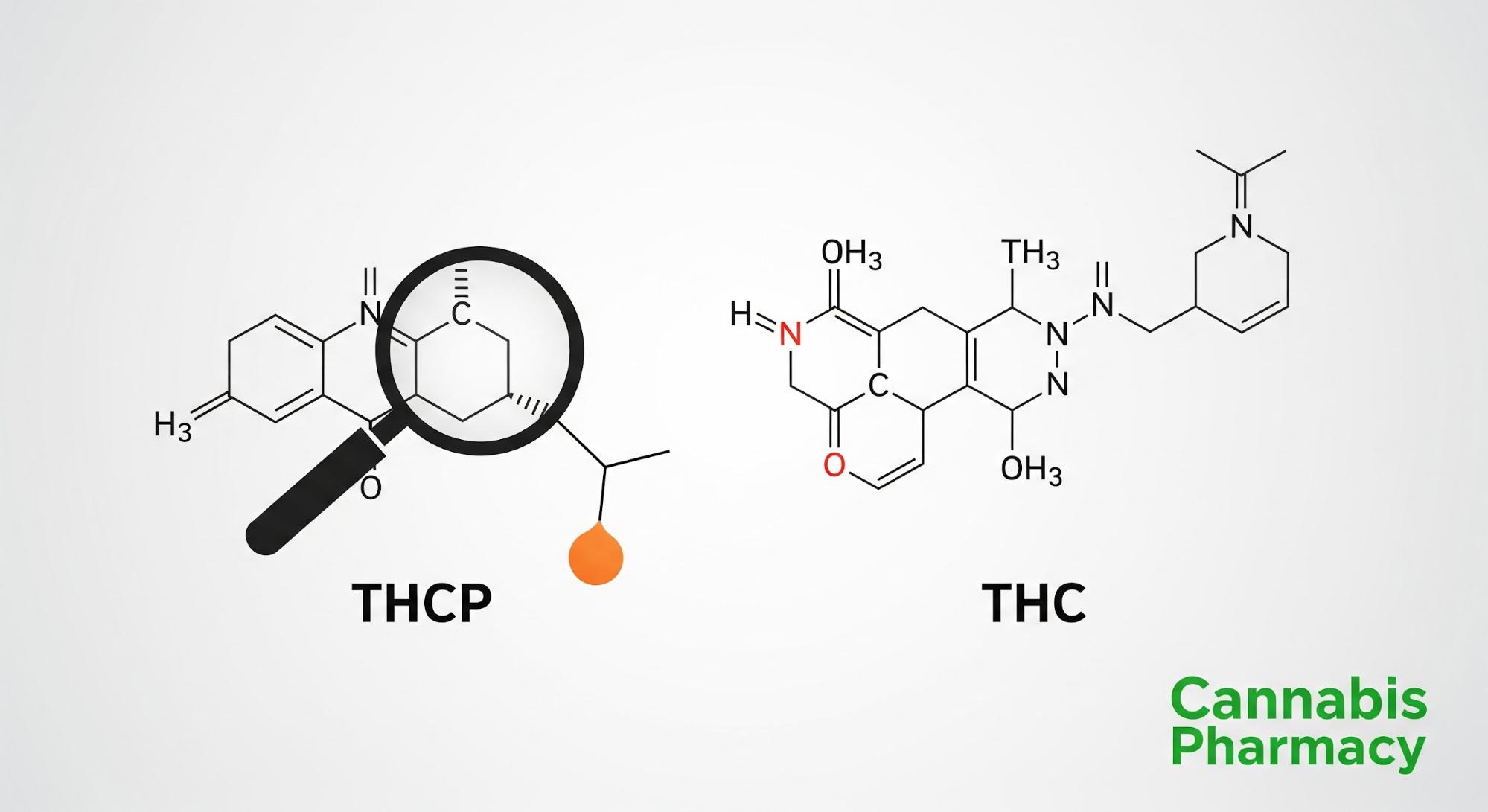 The Potency of THCP