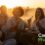 A diverse group of six adults sit together outdoors at sunset, smiling and holding vape pens while chatting. Warm golden light filters through the scene, and the words “Cannabis Pharmacy” appear in the lower right corner.